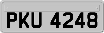 PKU4248
