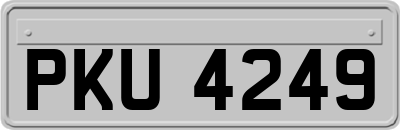 PKU4249