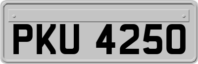 PKU4250