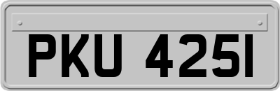 PKU4251