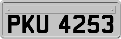 PKU4253