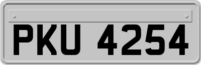 PKU4254