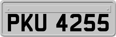 PKU4255