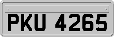 PKU4265