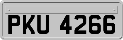 PKU4266