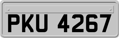 PKU4267