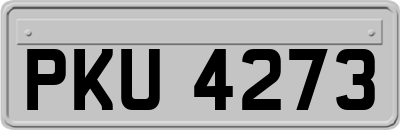 PKU4273