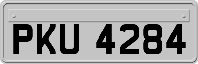 PKU4284