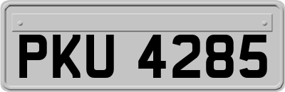 PKU4285
