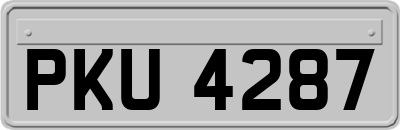 PKU4287