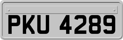 PKU4289