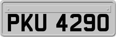 PKU4290