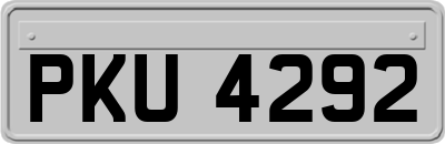 PKU4292