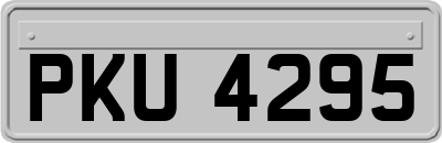 PKU4295