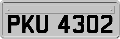 PKU4302