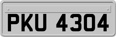 PKU4304