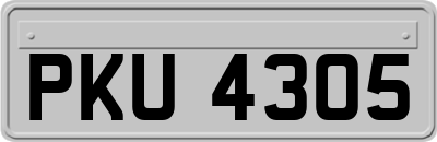PKU4305