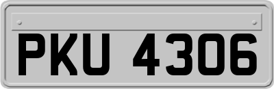PKU4306