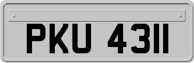 PKU4311