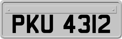 PKU4312