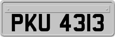 PKU4313