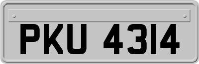PKU4314