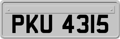 PKU4315