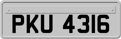 PKU4316