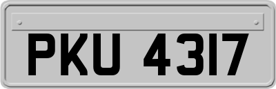 PKU4317