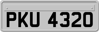 PKU4320