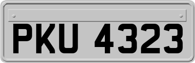 PKU4323