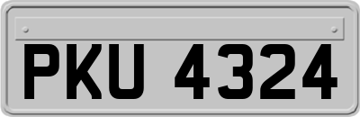 PKU4324