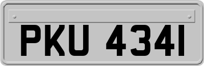 PKU4341