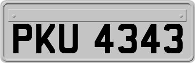 PKU4343