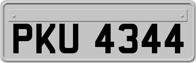 PKU4344