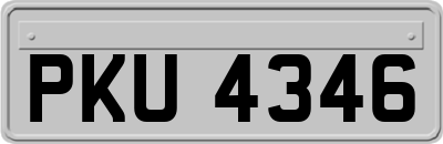 PKU4346