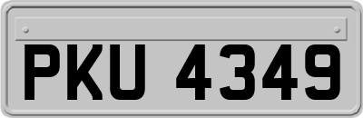 PKU4349