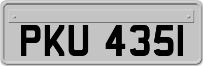 PKU4351