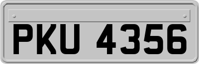 PKU4356