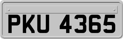 PKU4365