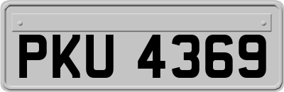 PKU4369