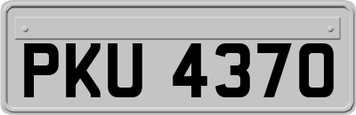 PKU4370