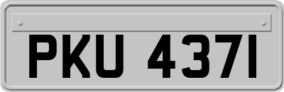 PKU4371