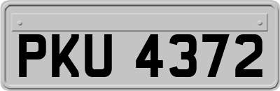 PKU4372