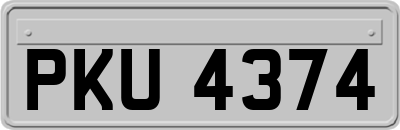 PKU4374