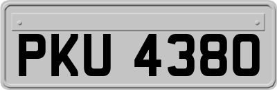 PKU4380