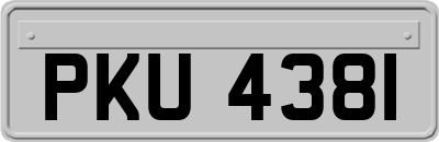 PKU4381