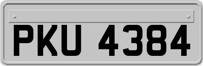 PKU4384