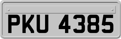 PKU4385