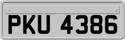 PKU4386